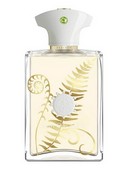 Парфюмерная вода Amouage Bracken, 100 мл, Для Мужчин, Тестер